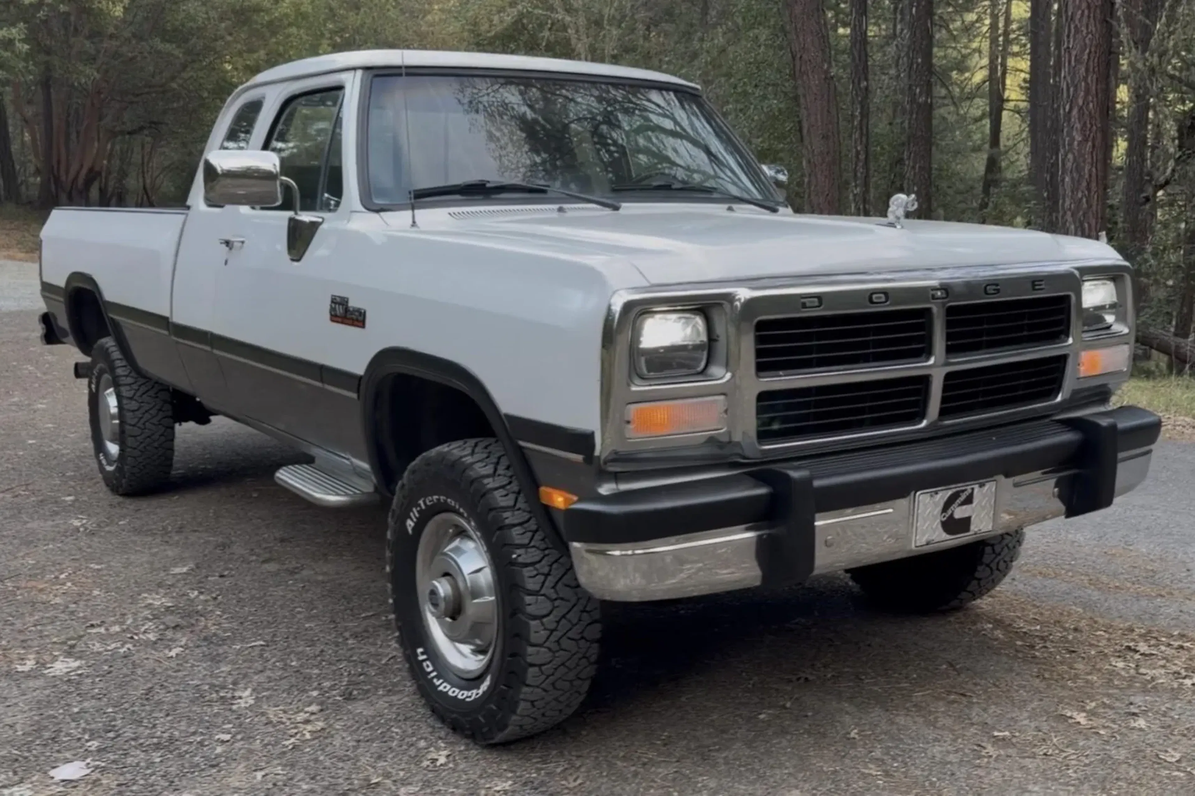 1993 Dodge W250 2026-04-15