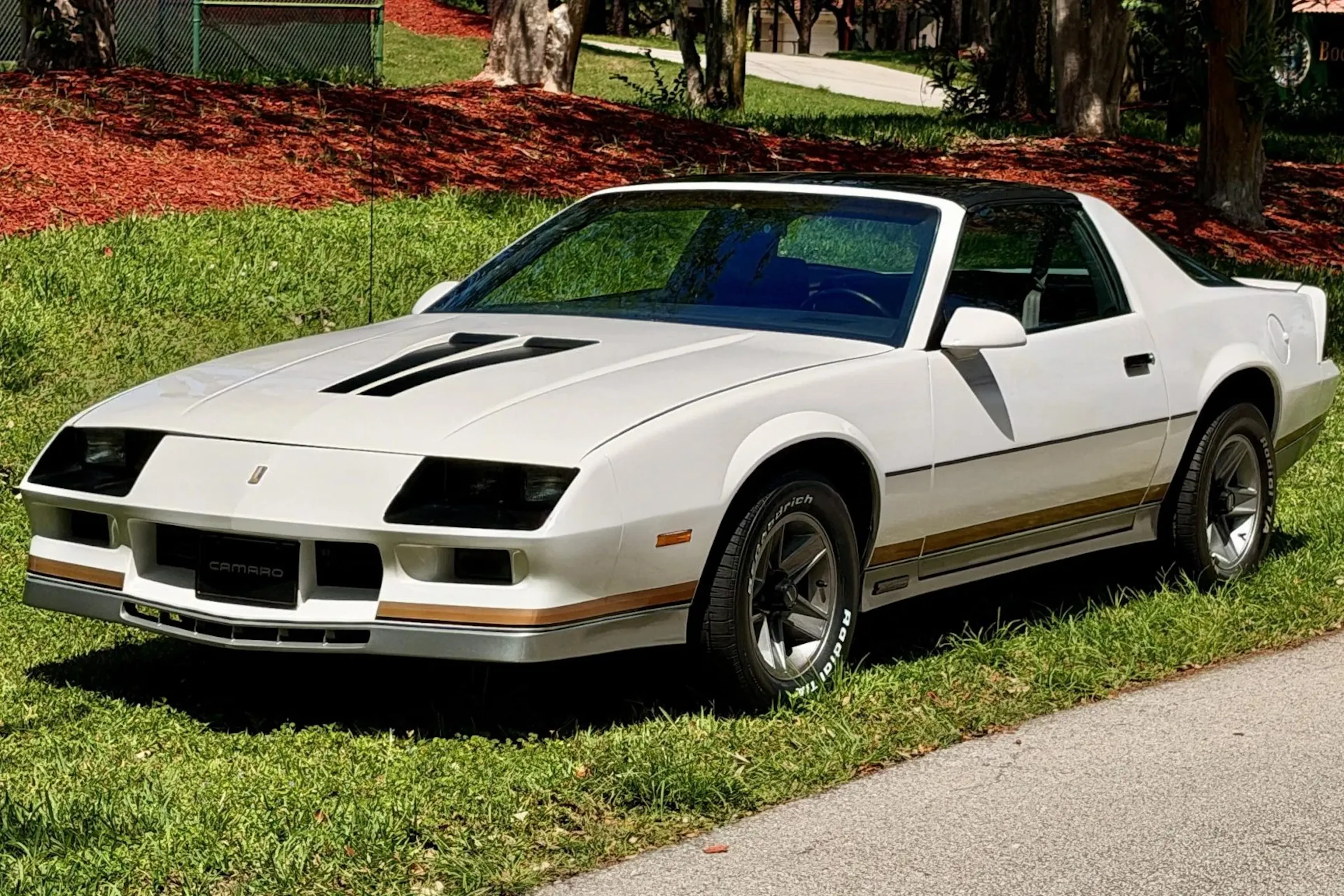 1984 Chevrolet Camaro 2026-04-24
