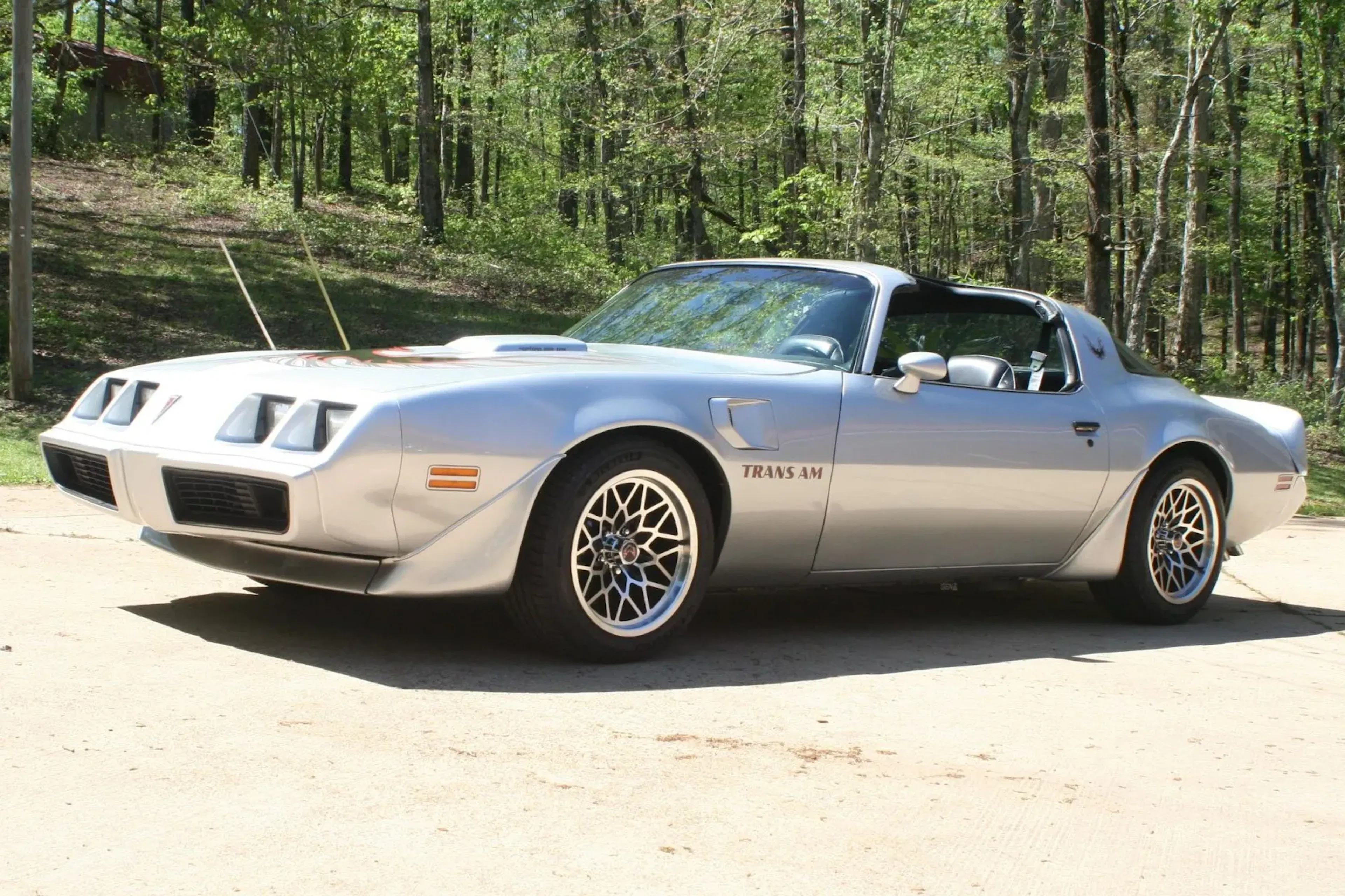 1981 Pontiac Firebird 2026-04-28