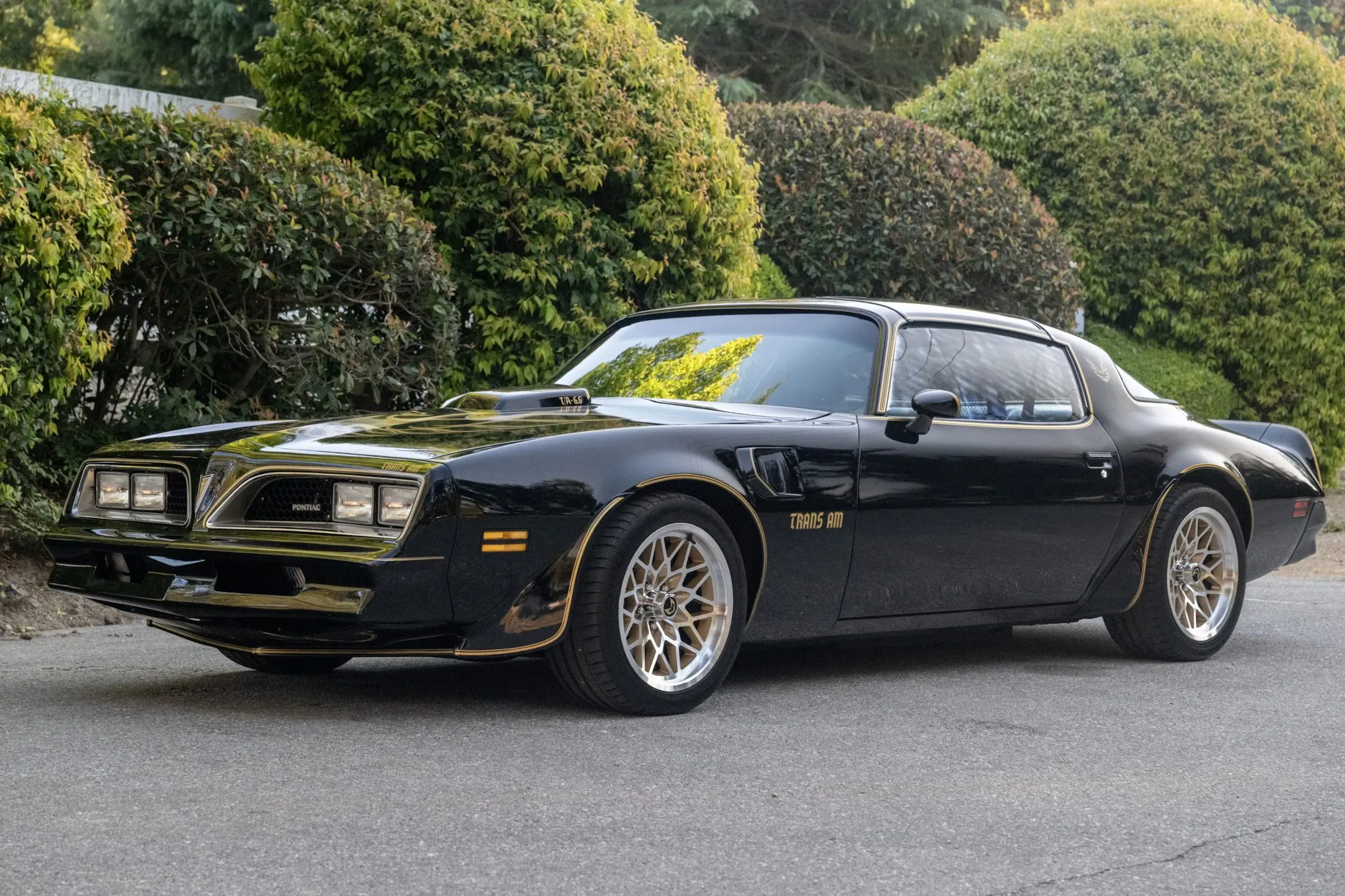 1977 Pontiac Firebird 2026-04-29