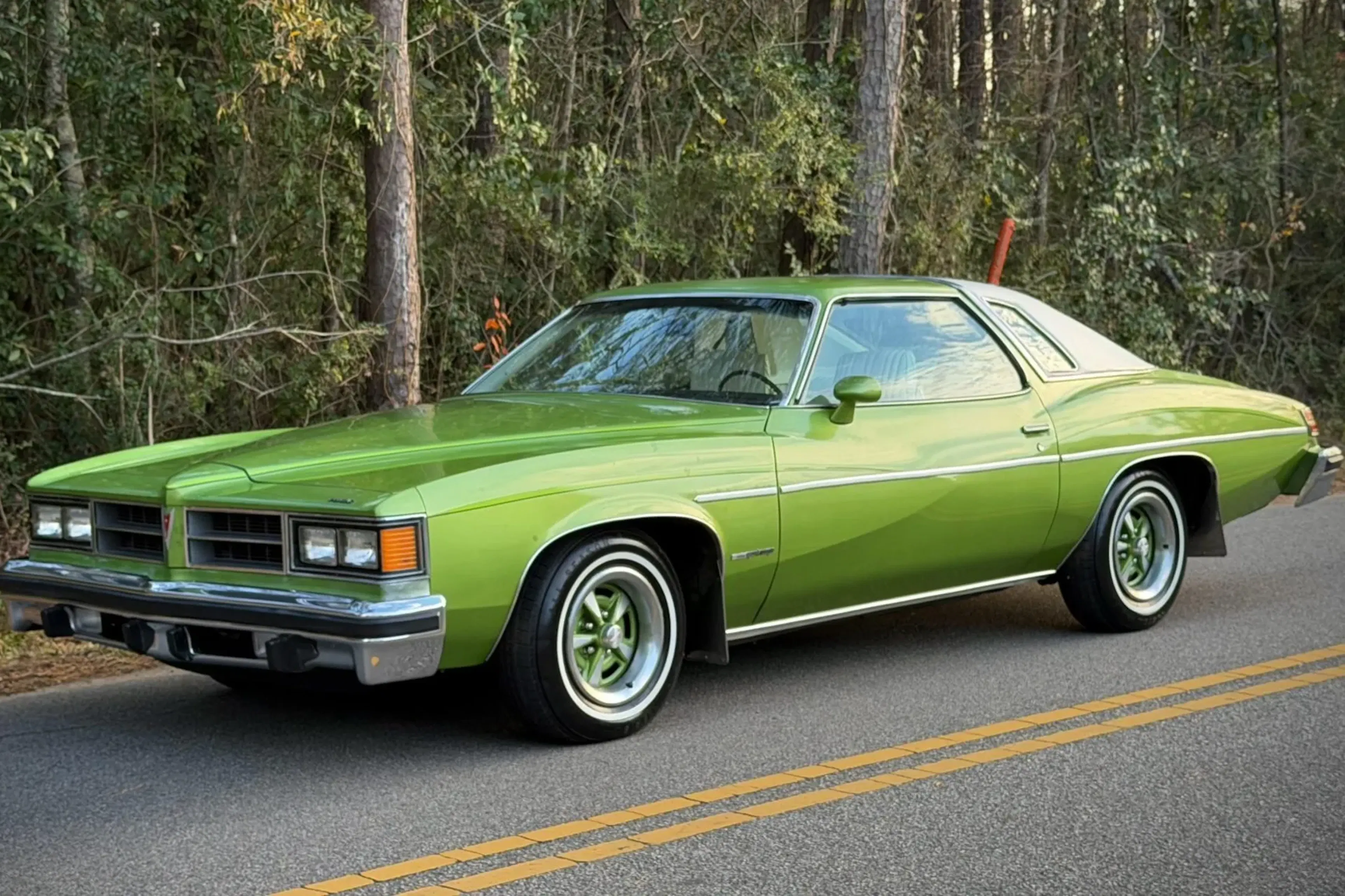 1976 Pontiac LeMans 2026-01-29