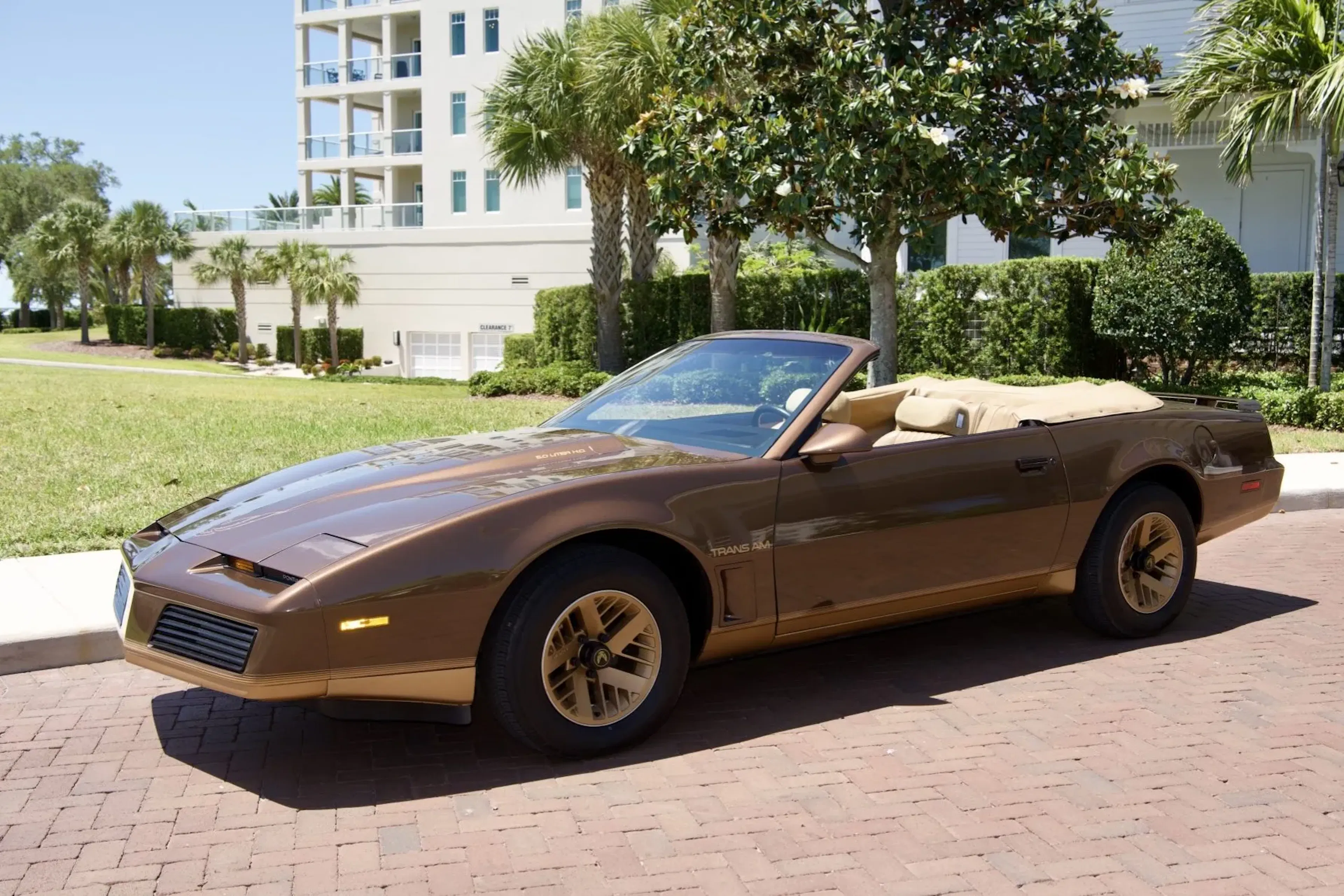 1984 Pontiac Firebird 2026-06-09