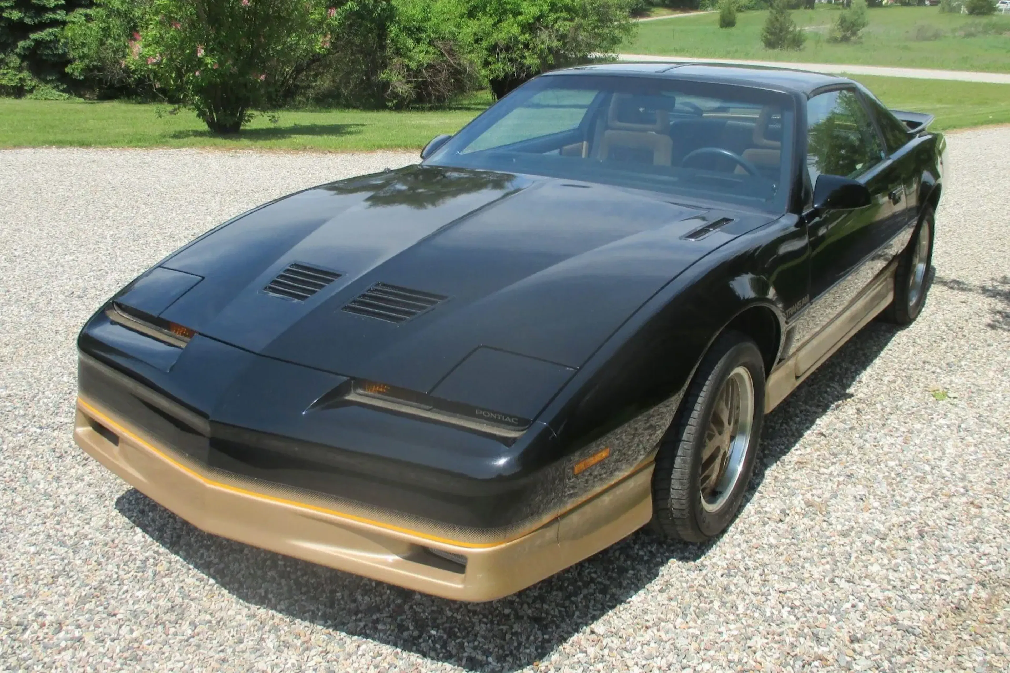 1985 Pontiac Firebird 2026-06-15