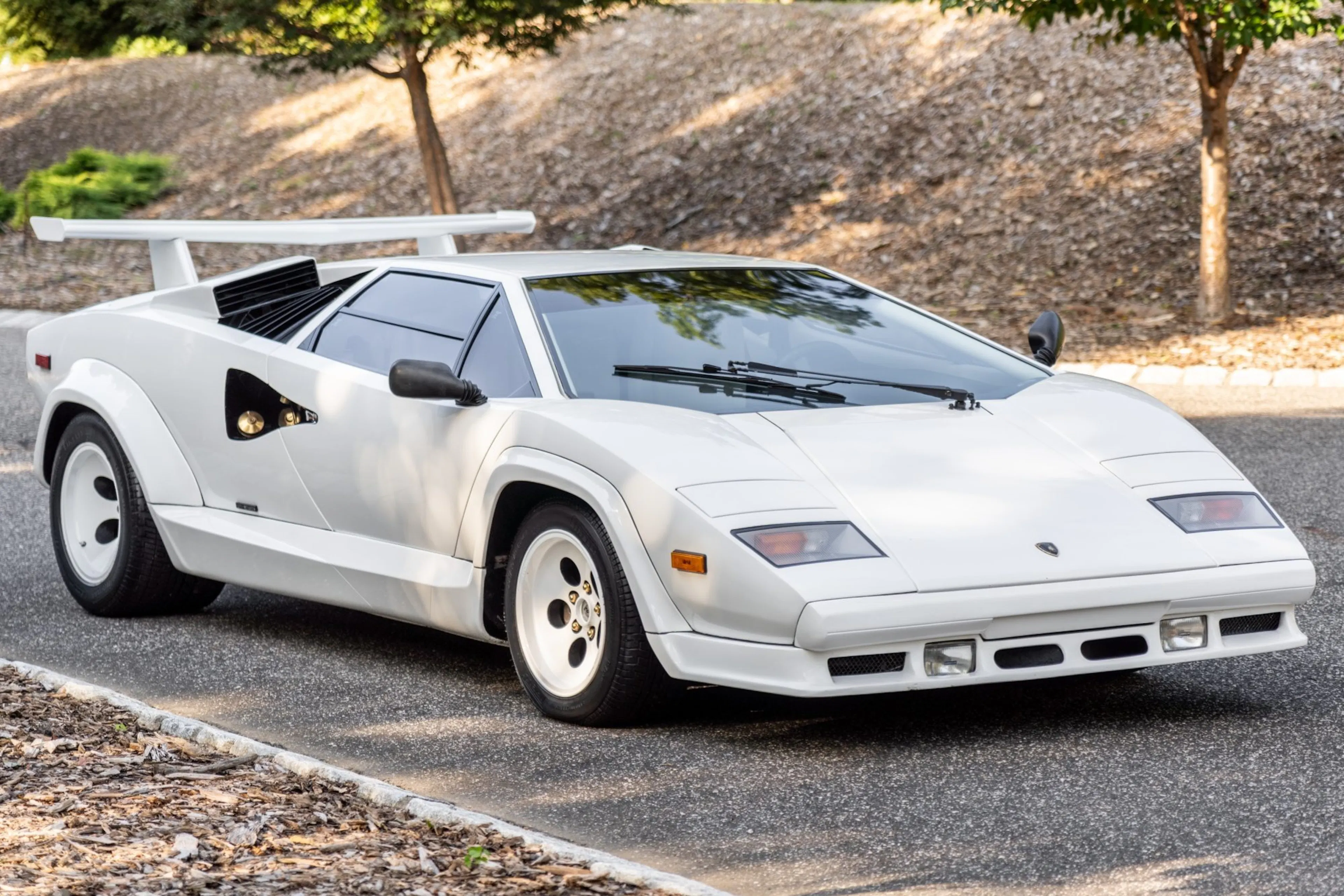 1986 Lamborghini Countach VIN ZA9CA05A0GLA12954 | Hagerty Valuation Tools®