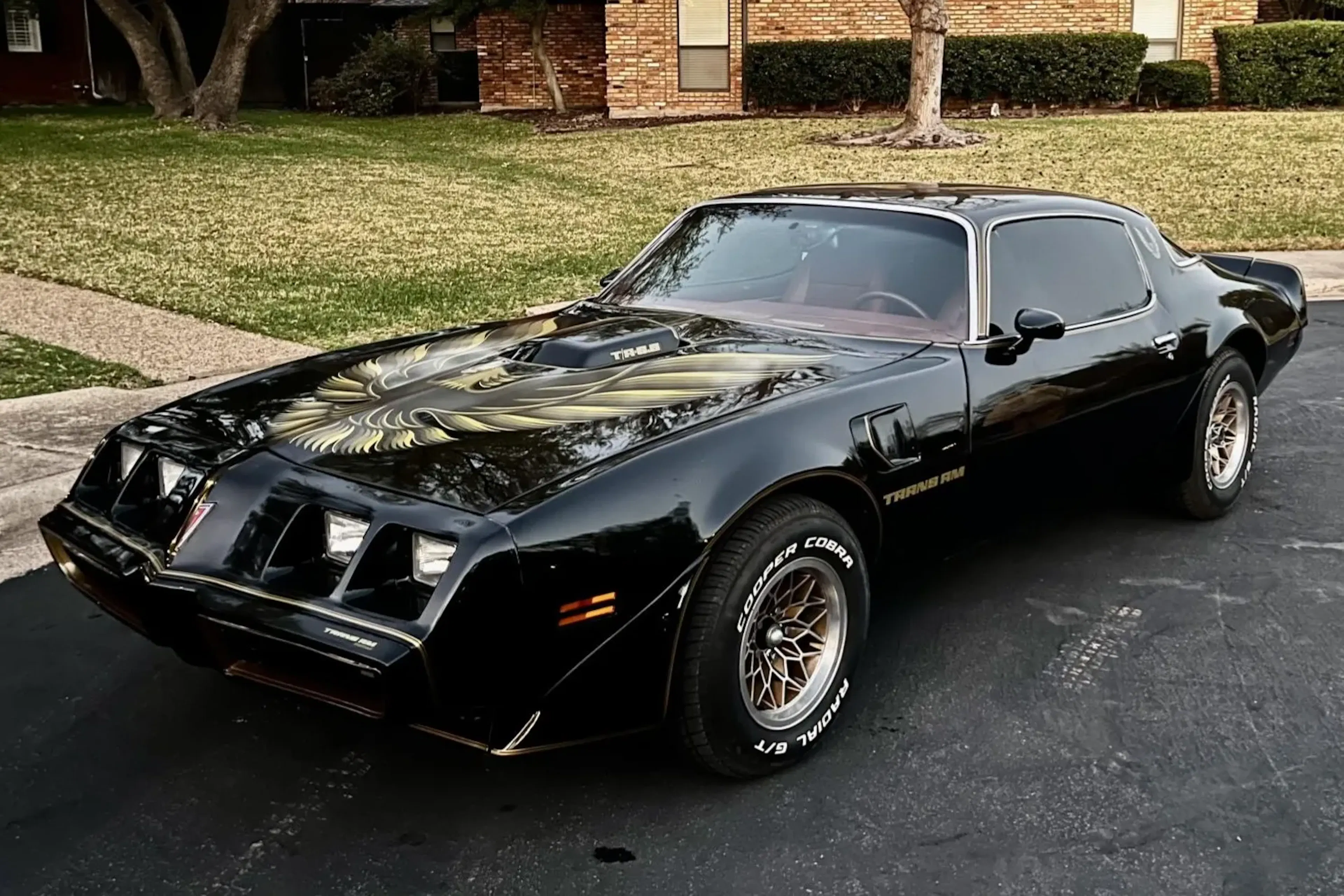 1977 Pontiac Firebird Fire Am In Black With Hood Bird - Very Special Equipment VSE Greenlight 118 19080 12 1977 Pontiac Firebird Fire Am In Black With Hood Bird - Very Special Equipment VSE Greenlight 118 19080 12