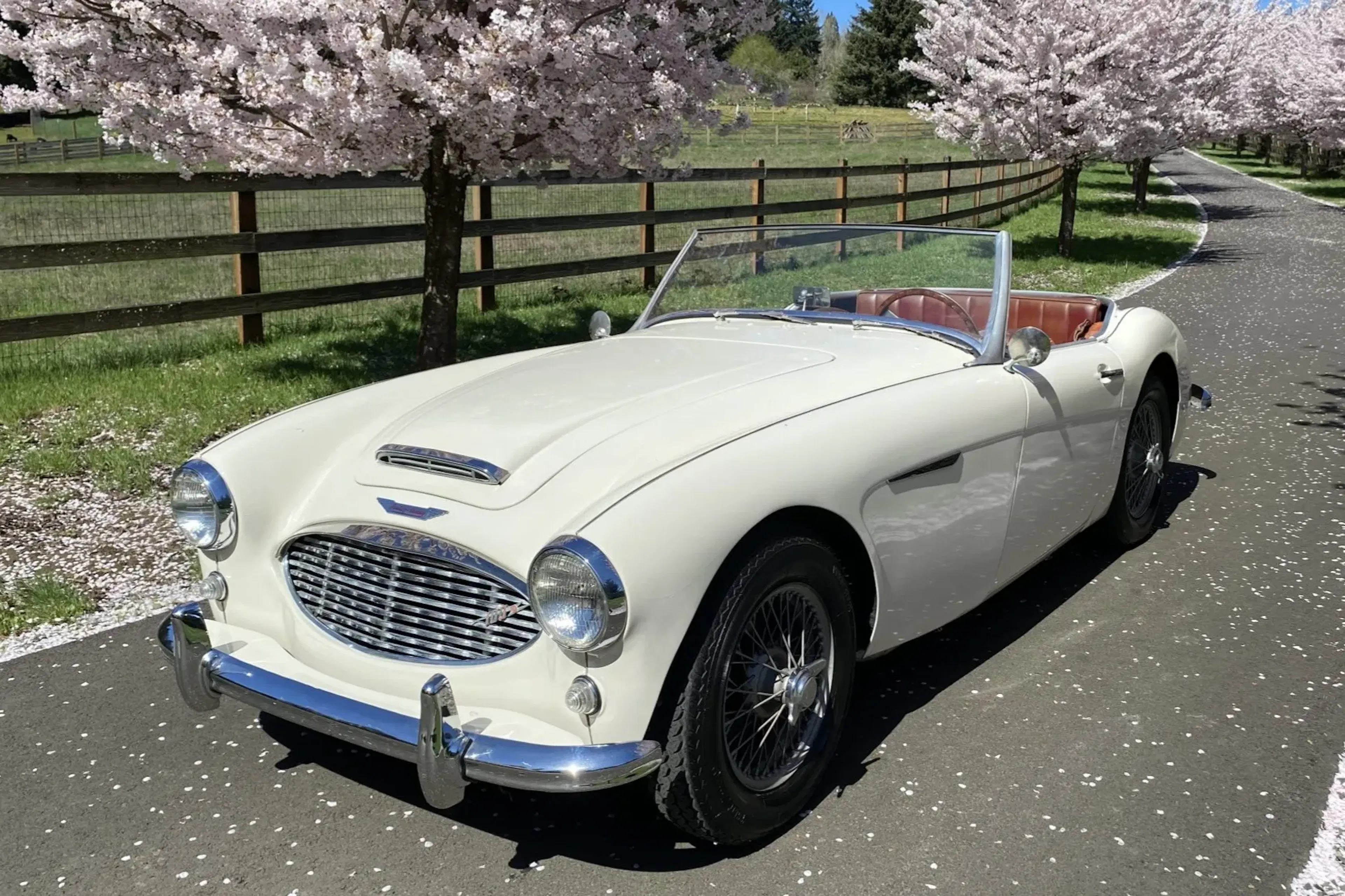 1959 Austin-Healey 100-6 2026-05-09