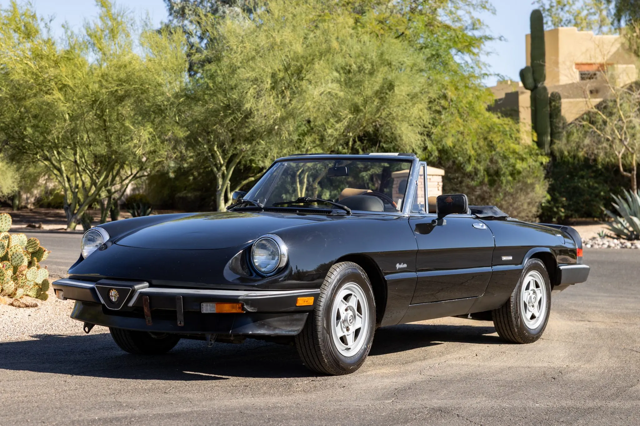 1989 Alfa Romeo Spider Graduate VIN ZARBA5646K6000099 | Hagerty ...