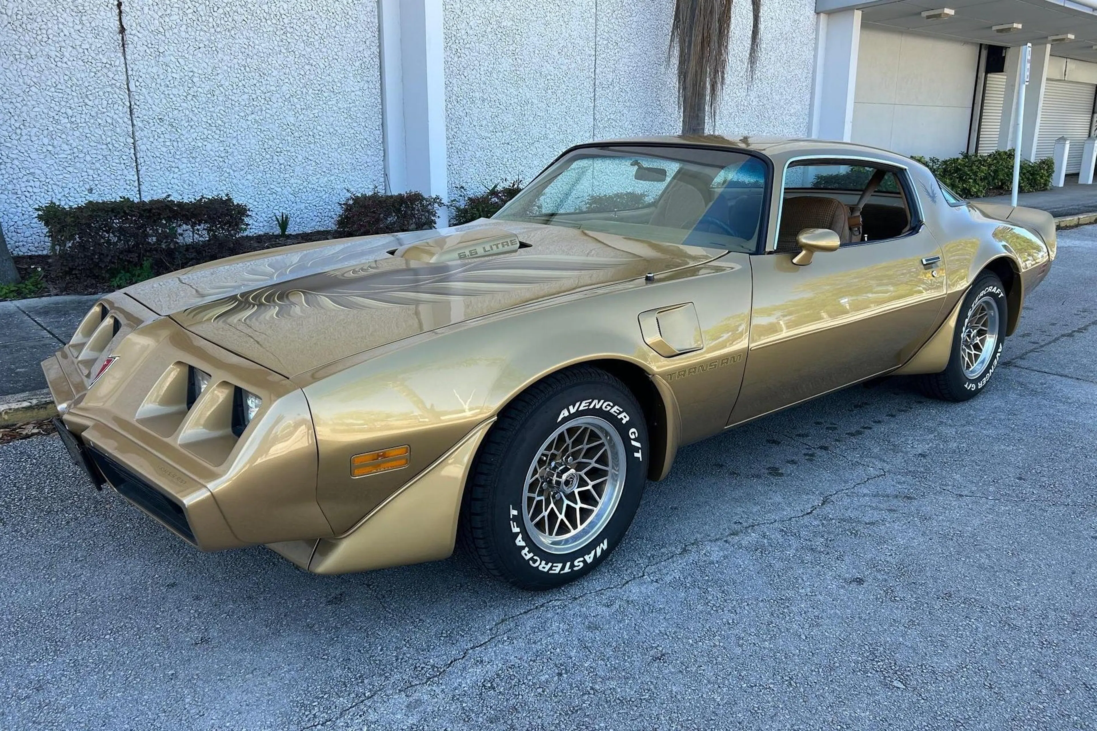 1979 Pontiac Firebird 2026-04-24