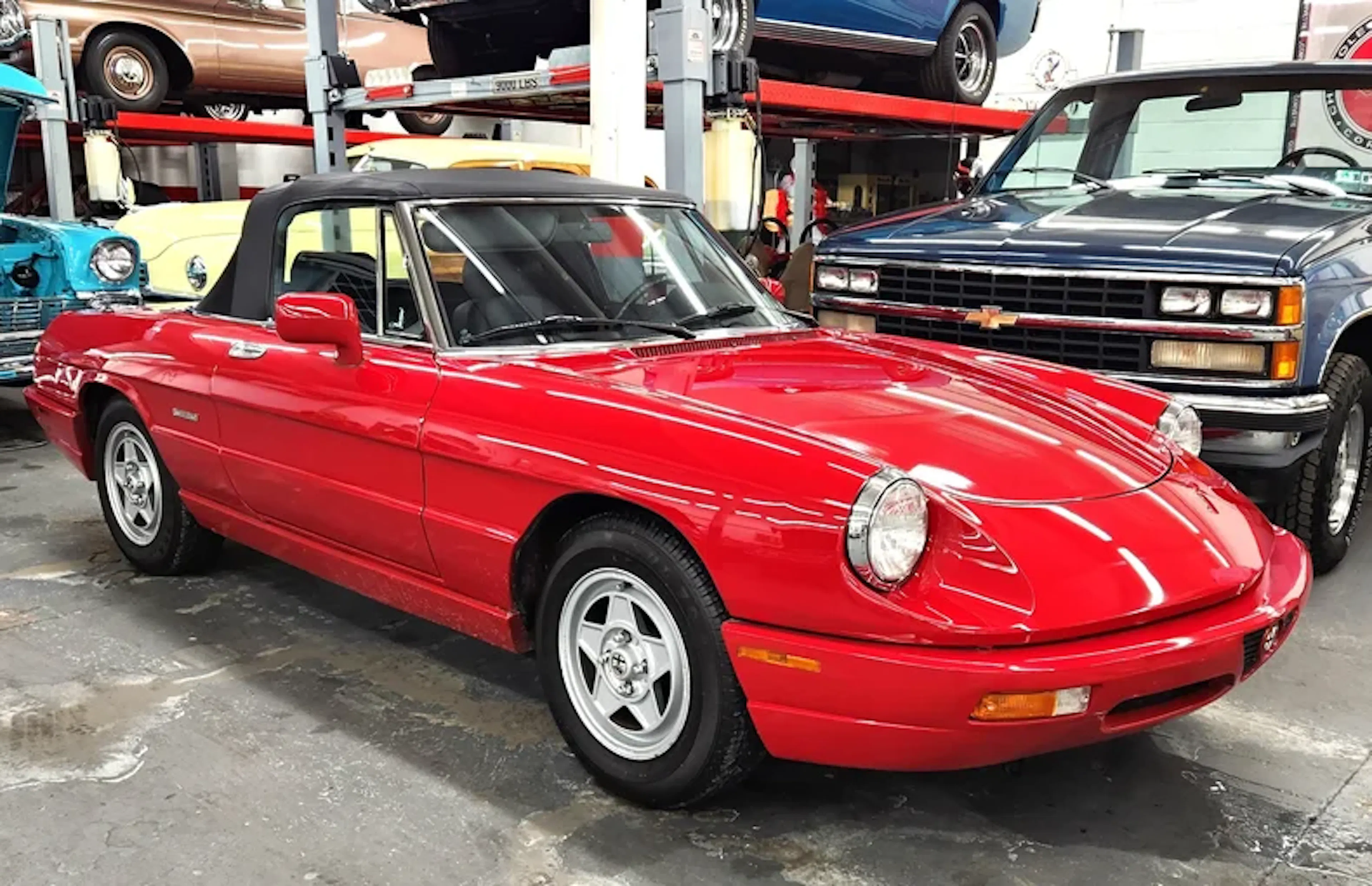 1991 Alfa Romeo Spider 2026-02-19