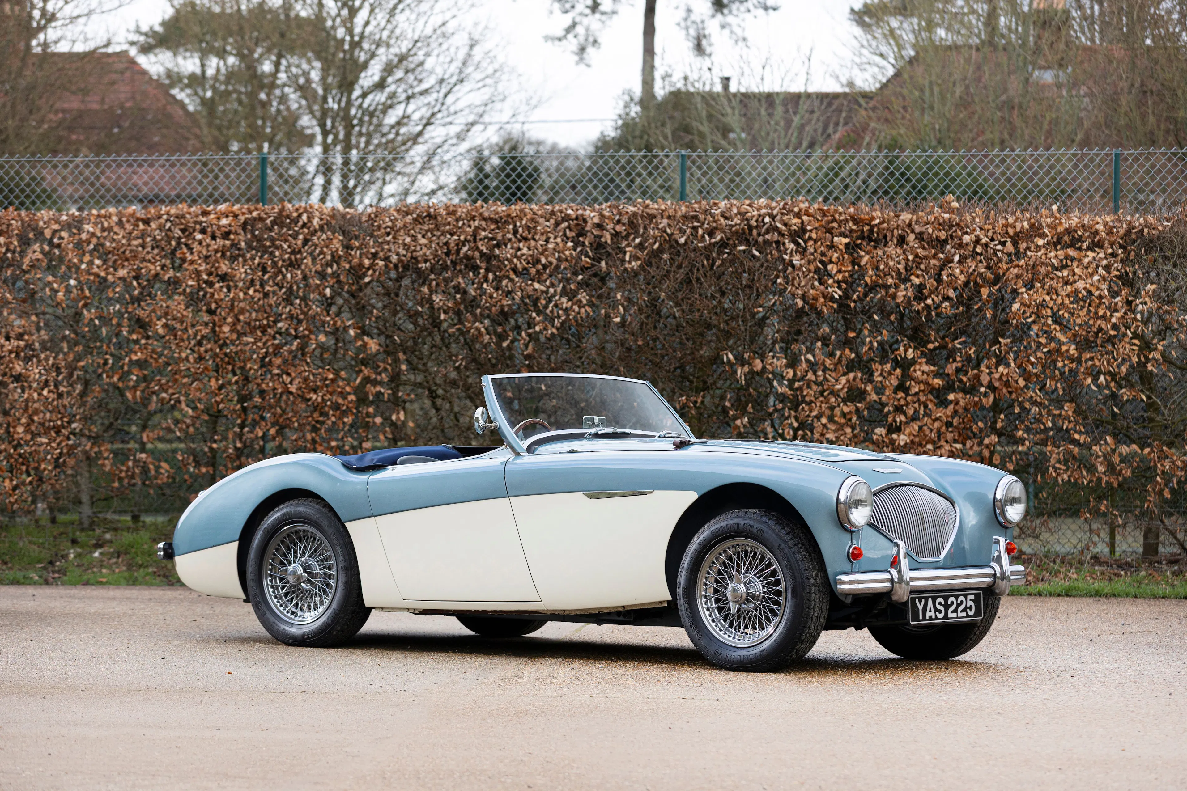 1956 Austin-Healey 100 2026-04-19