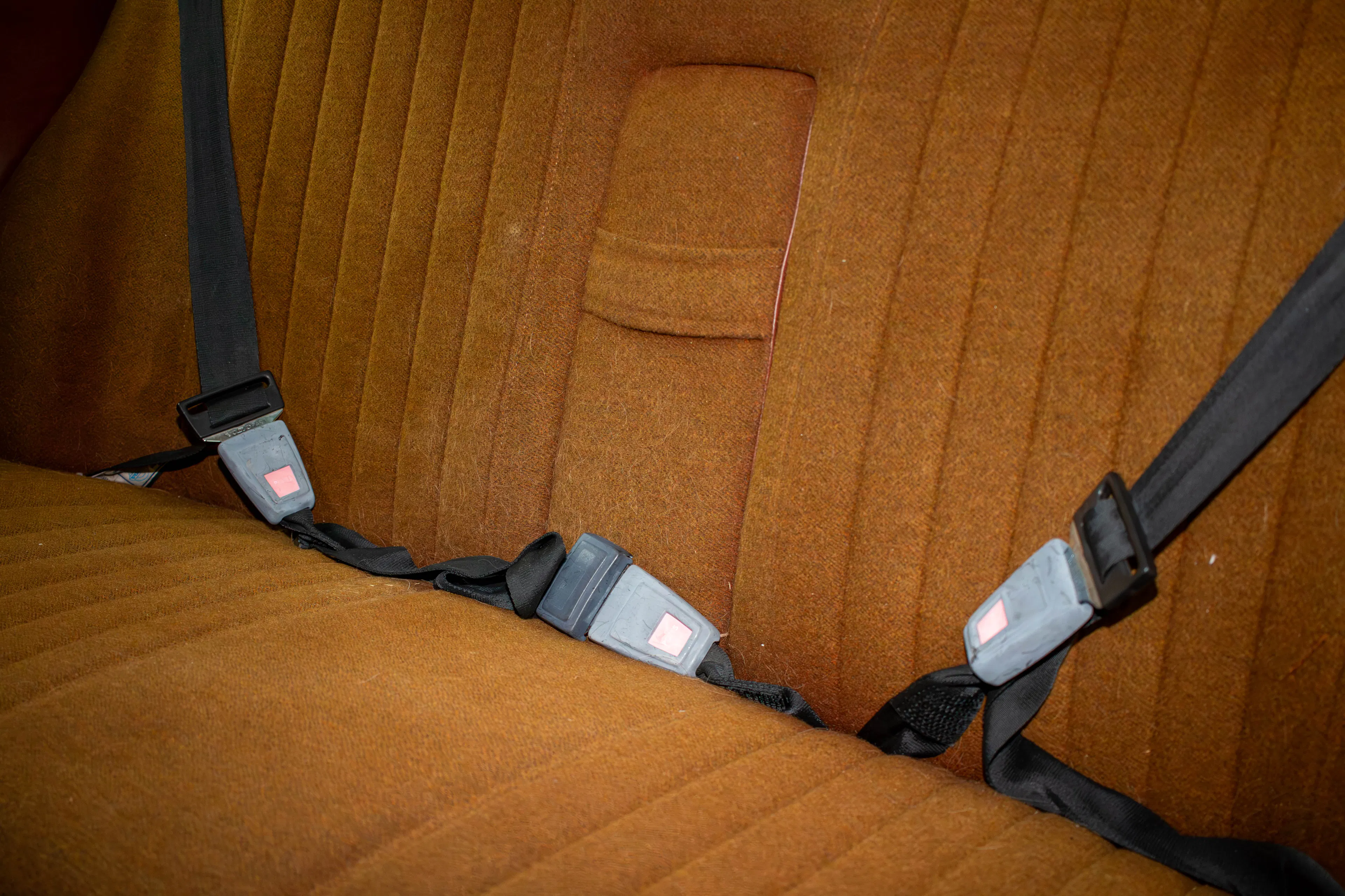 1973 Volvo 142 2dr Coupe Courtesy of Michelle Click