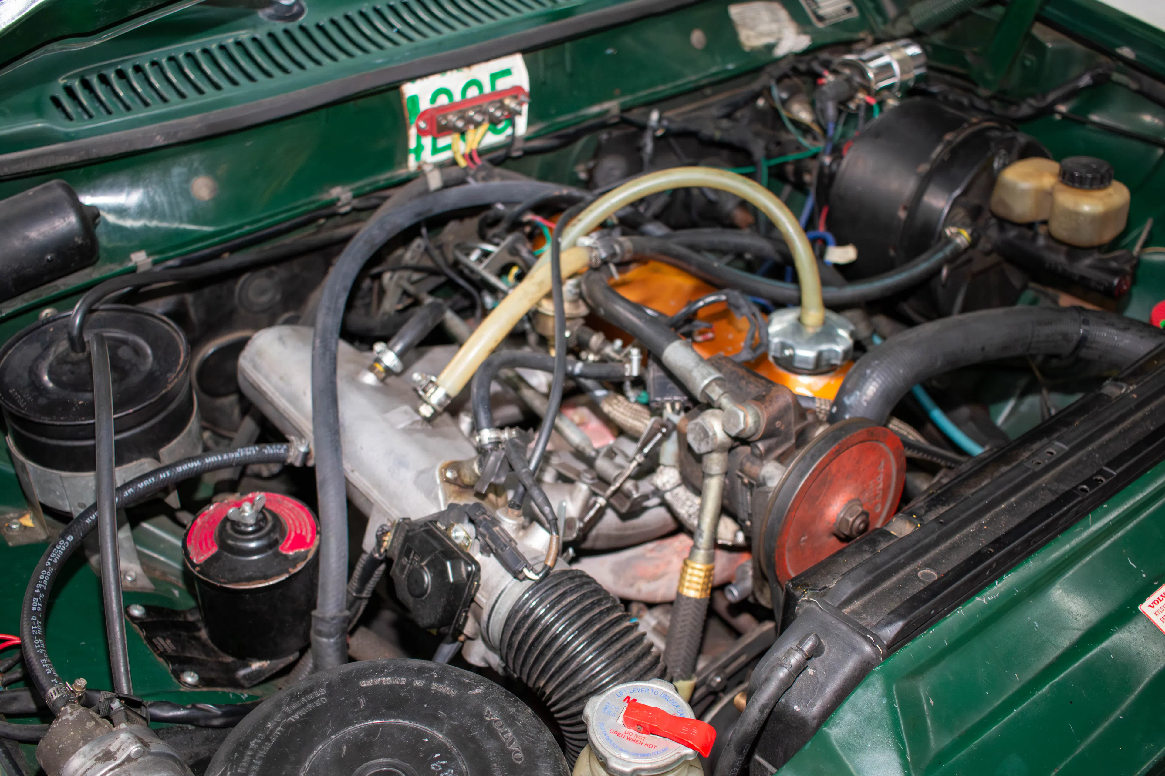 1973 Volvo 142 2dr Coupe Courtesy of Michelle Click