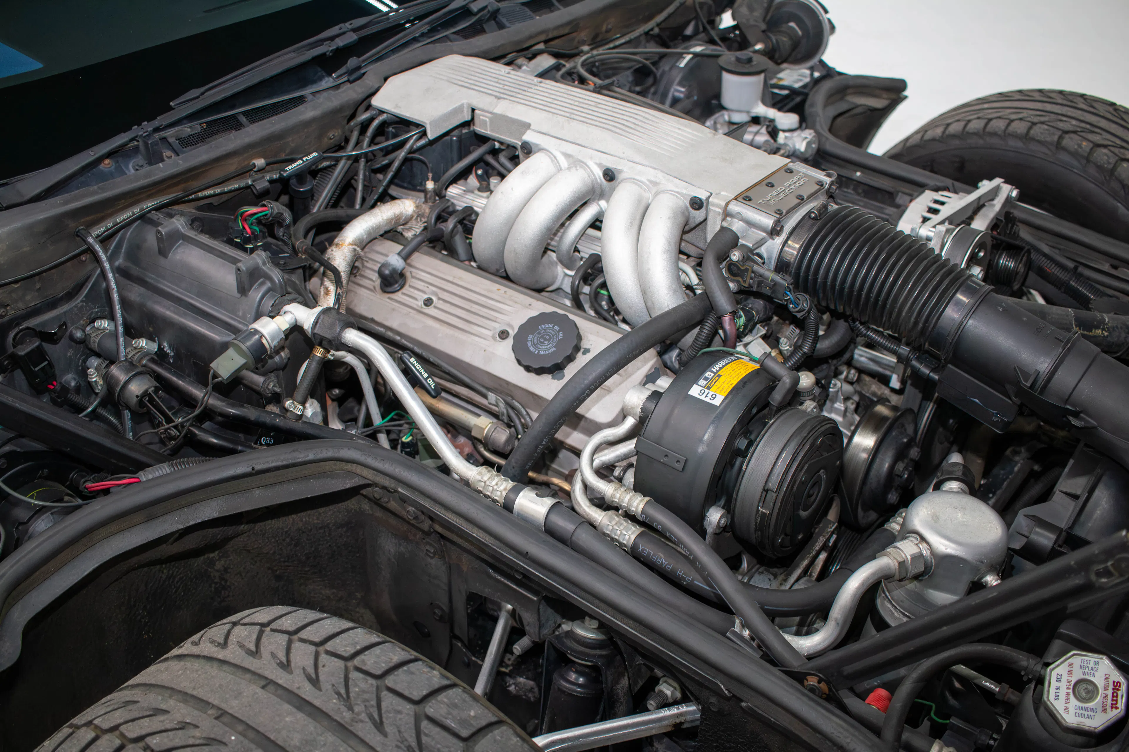 1986 Chevrolet Corvette 2dr Coupe Courtesy of Michelle Click