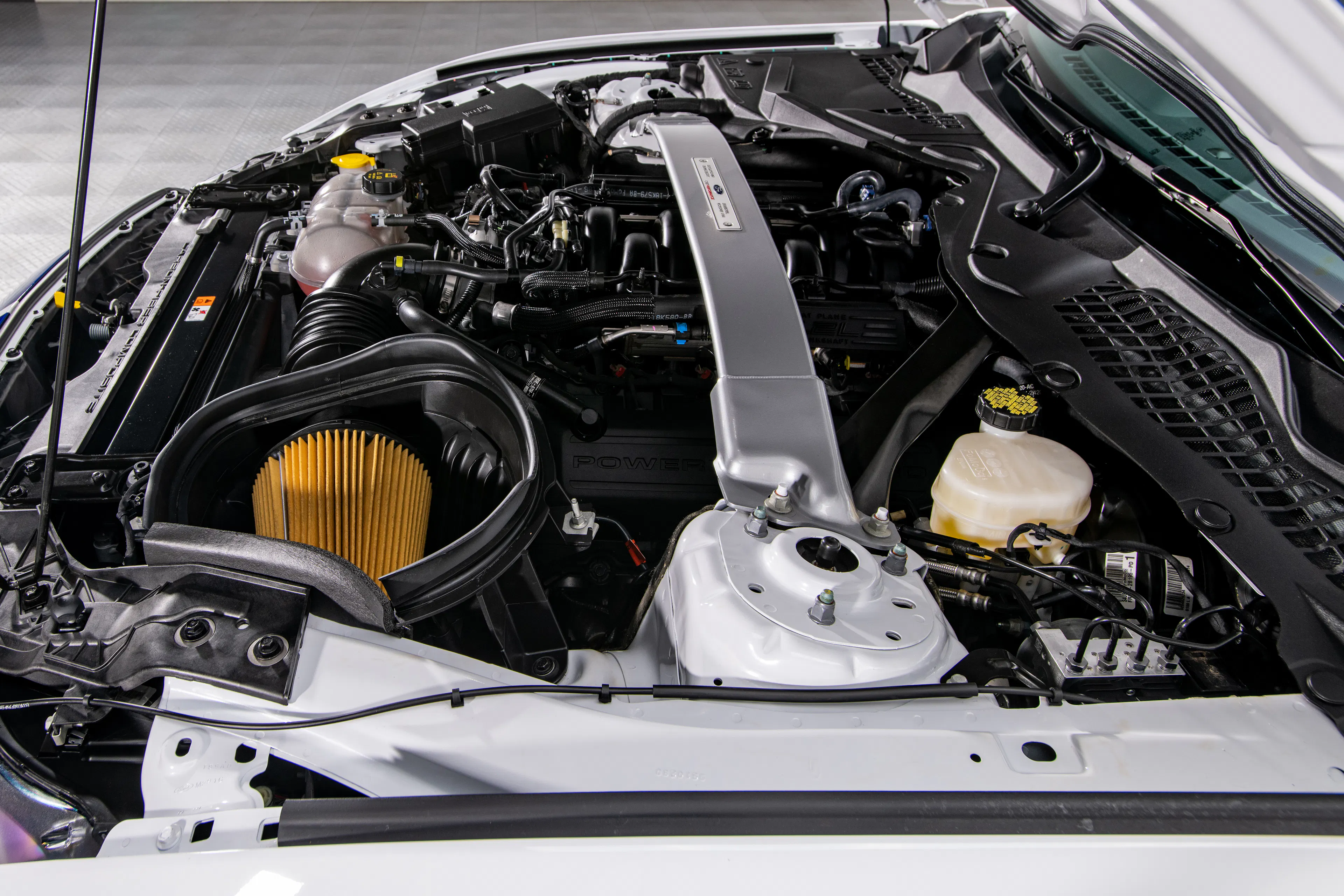 2016 Ford Mustang Shelby GT350R 2dr Coupe Courtesy of RK Motors