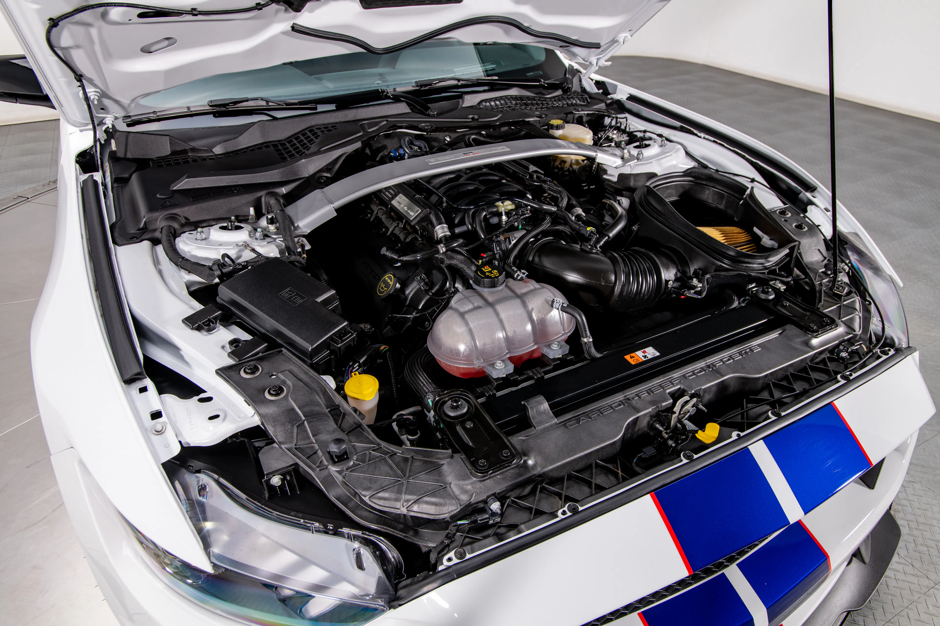 2016 Ford Mustang Shelby GT350R 2dr Coupe Courtesy of RK Motors