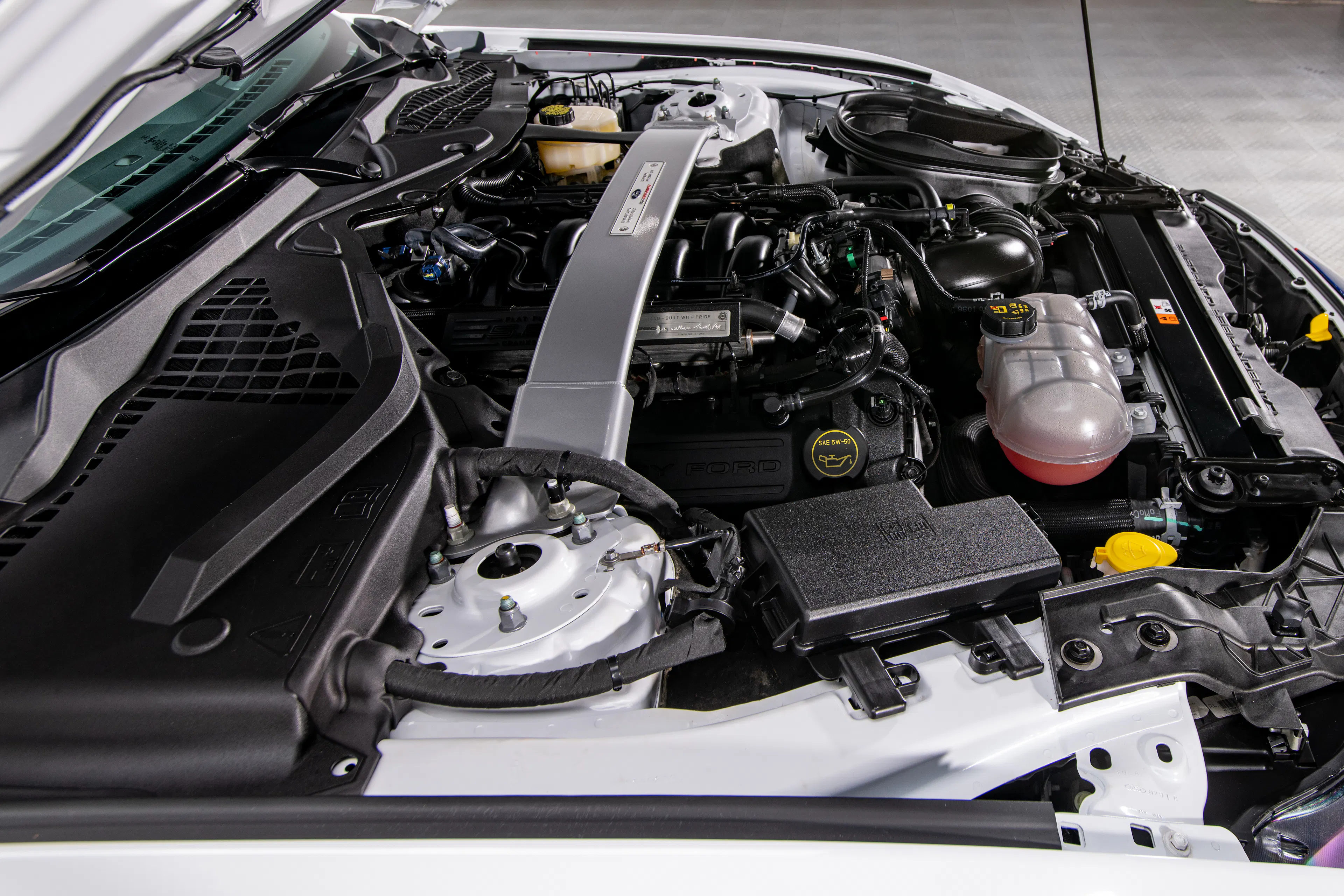 2016 Ford Mustang Shelby GT350R 2dr Coupe Courtesy of RK Motors
