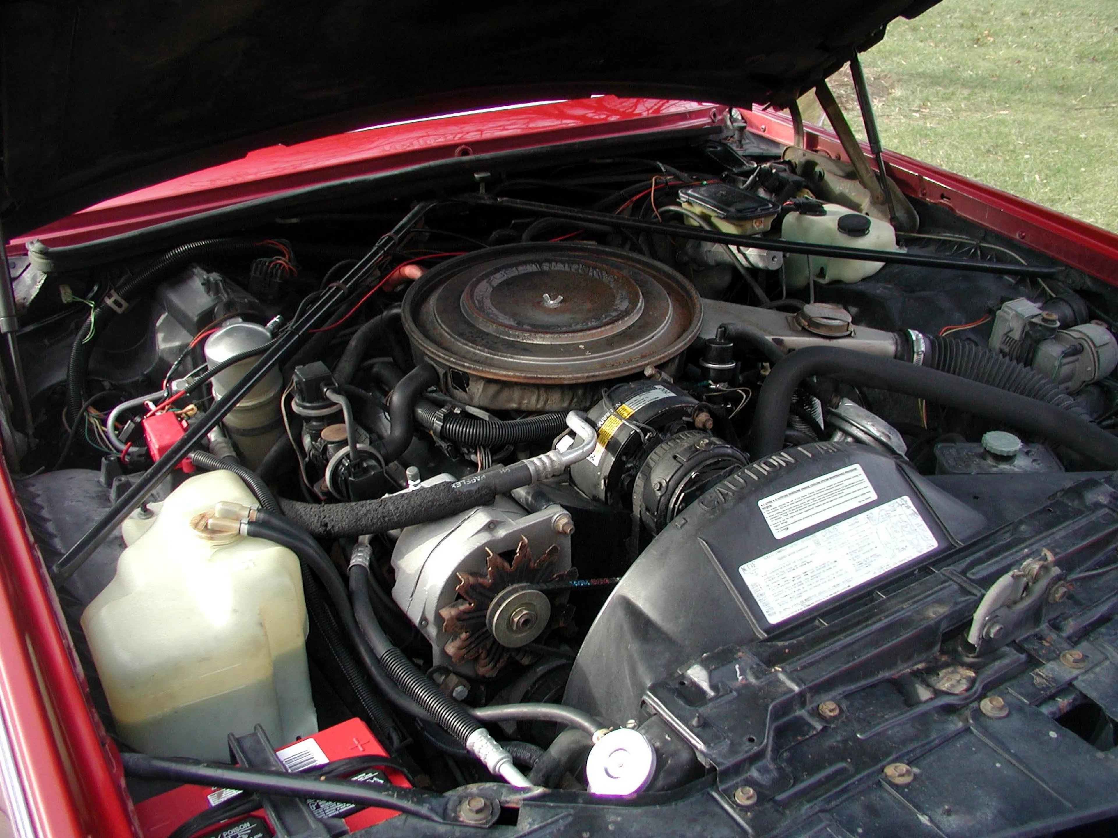 1984 Cadillac Eldorado Convertible
