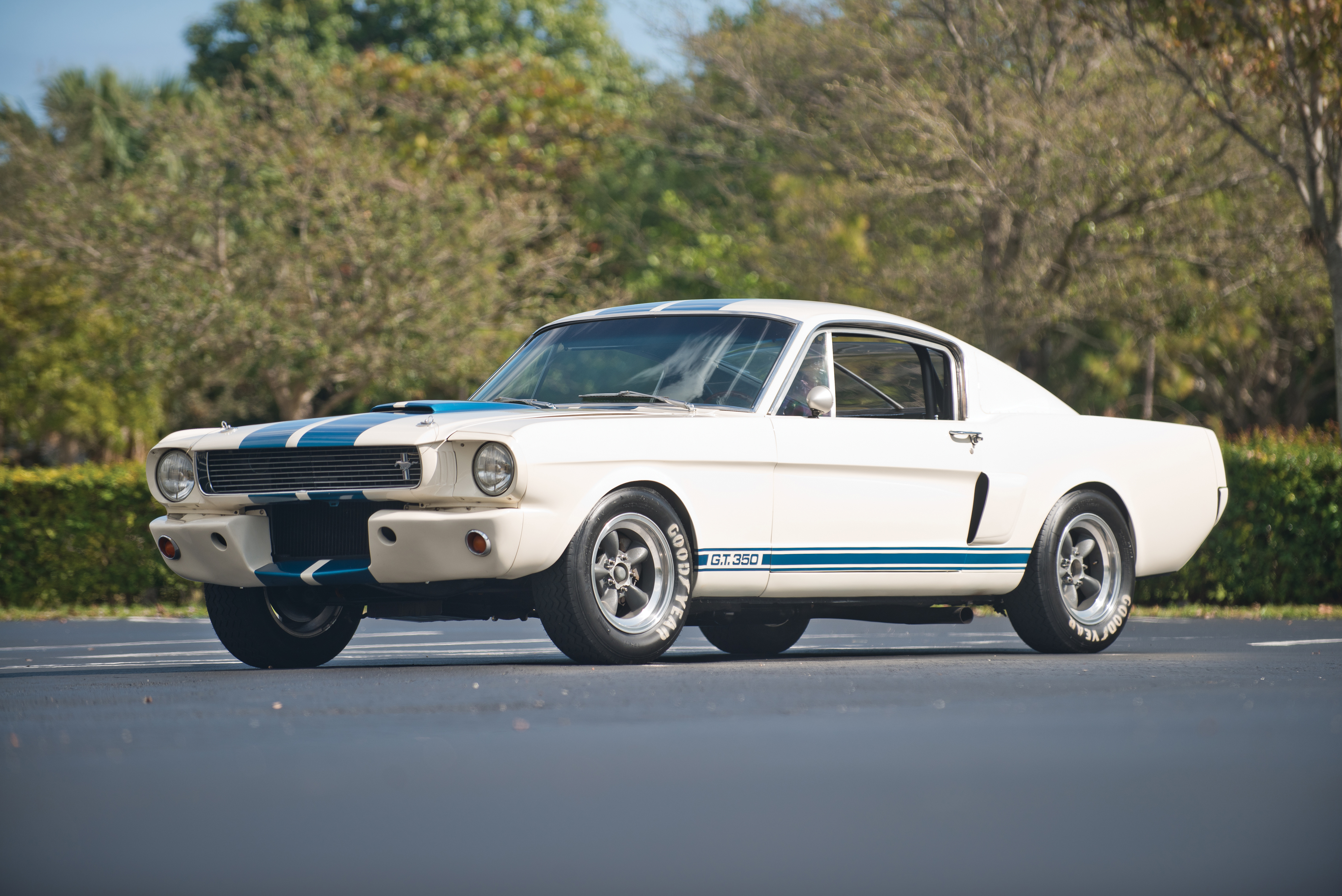 1966 shelby gt350
